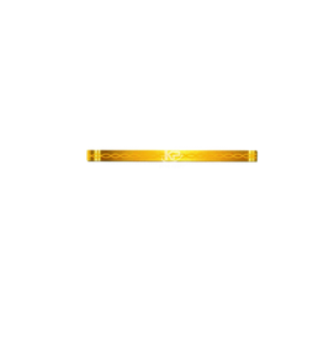 TAY VỊN - HG13